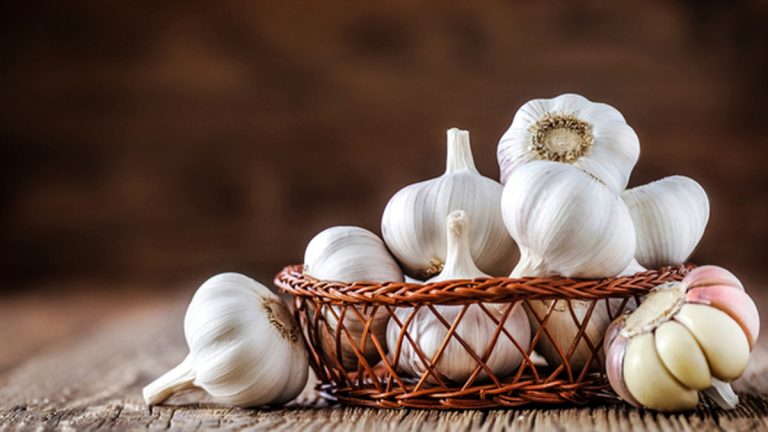 ನಿಮಗಿದು ಗೊತ್ತೇ? ಬೆಳ್ಳುಳ್ಳಿಯ ಬಳಕೆಯಿಂದ ನಮ್ಮ ದೇಹಕ್ಕೆ ಏನೇನು ಪ್ರಯೋಜನಗಳಿವೆ ?