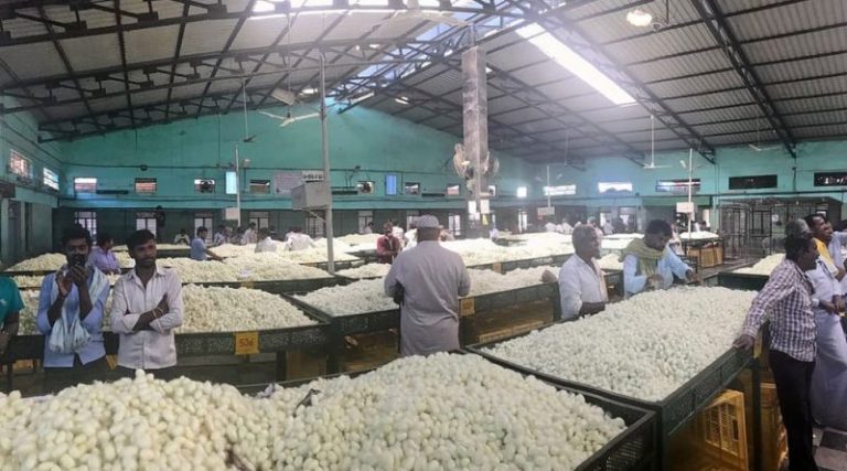 ರಾಮನಗರದಲ್ಲಿ 75 ಕೋಟಿ ವೆಚ್ಚದಲ್ಲಿ ಹೈಟೆಕ್ ರೇಷ್ಮೆ ಮಾರುಕಟ್ಟೆ ನಿರ್ಮಾಣ reshme