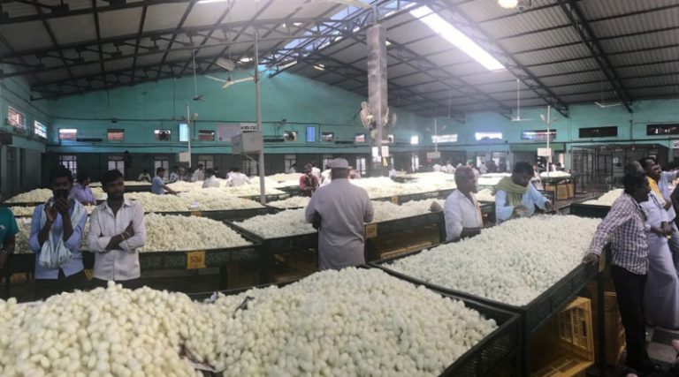 ಇತಿಹಾಸದಲ್ಲೇ ಮೊದಲ ಬಾರಿಗೆ 4 ಡಿಜಿಟ್ ತಲುಪಿದ ರೇಷ್ಮೆ ಗೂಡಿನ ಬೆಲೆ..! reshme