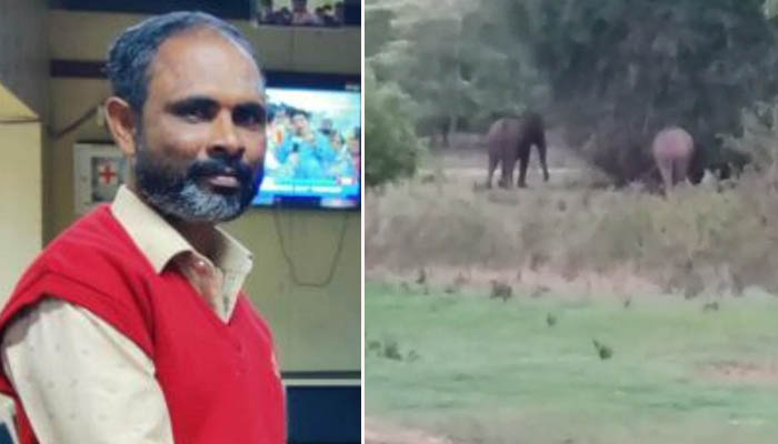 ಹಳೆಹೆಗ್ಗುಡಿಲು ಗ್ರಾಮದಲ್ಲಿ ಕಾಡಾನೆಗಳ ಹಾವಳಿ: ಅಧಿಕಾರಿಗಳ ಬೇಜವಾಬ್ದಾರಿ ane havali