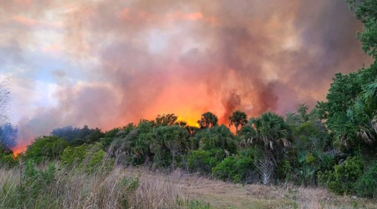 ಅಮೆರಿಕಾದ ಹಲವೆಡೆ ಕಾಡ್ಗಿಚ್ಚಿನ ಅಬ್ಬರ fire