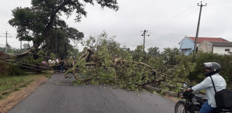 ರಸ್ತೆಗ ಅಡ್ಡವಾಗಿ ಬಿದ್ದ ಬೃಹತ್ ಆಲದ ಮರ: ವಾಹನ ಸವಾರರಿಂದ ಪರದಾಟ tipaturu