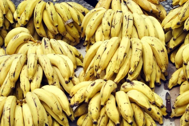 ಬಾಳೆಹಣ್ಣಿನ ಸೇವನೆಯಿಂದಾಗುವ ಪ್ರಯೋಜನಗಳೇನು? banana
