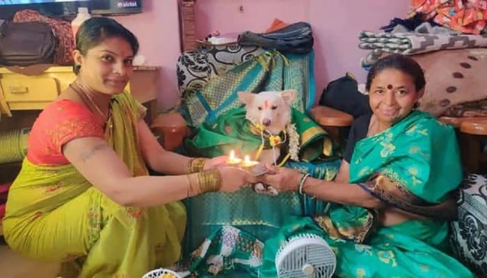 ಸಾಕು ನಾಯಿ ಚಿಂಕಿಗೆ ಸೀಮಂತ ಮಾಡಿದ ರಂಗಭೂಮಿ ಕಲಾವಿದೆ: ಇಲ್ಲೊಂದು ಚಾರ್ಲಿ ಕಥನ..! chinki