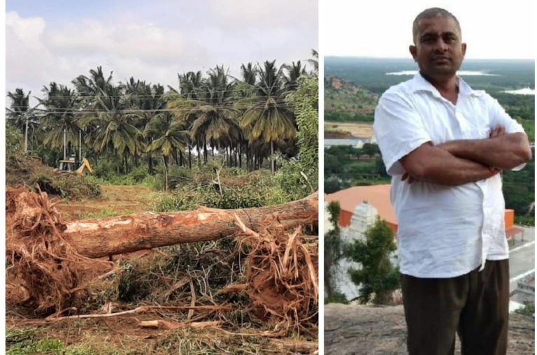 ಅಭಿವೃದ್ಧಿ ನೆಪದಲ್ಲಿ ಮರಗಳಿಗೆ ಕೊಡಲಿ ಪೆಟ್ಟು. ಗ್ರಾಮ ಪಂಚಾಯಿತಿ ಅಧ್ಯಕ್ಷ ನ ಯಡವಟ್ಟು gubbi