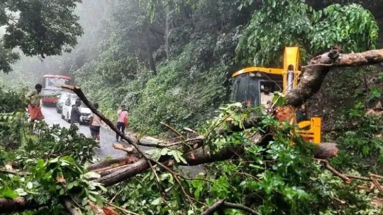 ಚಾರ್ಮಾಡಿ ಘಾಟ್ ನಲ್ಲಿ ರಸ್ತೆಗೆ ಬಿದ್ದ ಮರ ವಾಹನ ಸಂಚಾರ ಅಸ್ತವ್ಯಸ್ತ charmadi gati