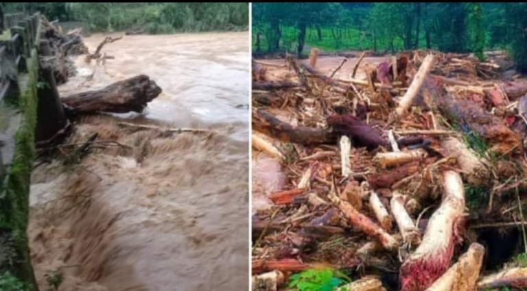 ಮಳೆ ಕಡಿಮೆ ಇದ್ದರೂ ಏಕಾಏಕಿ ಉಕ್ಕಿ ಹರಿದ ಪಯಶ್ವಿನಿ ನದಿ – ಕೊಚ್ಚಿ ಬಂದ ಬೃಹತ್ ಮರಗಳು sampajje