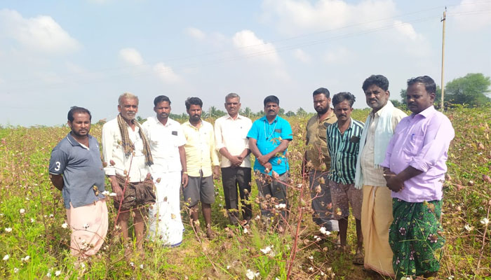 ಬೆಳೆ ಹಾನಿ: ರೈತರಿಗೆ ಶೀಘ್ರವಾಗಿ ಸ್ಪಂದಿಸಿದ ಶಾಸಕಿ ಪೂರ್ಣಿಮಾ ಶ್ರೀನಿವಾಸ್: ರೈತರಿಂದ ಮೆಚ್ಚುಗೆ hiriyuru