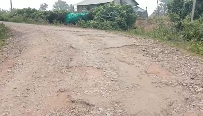 ರಸ್ತೆಯಲ್ಲಿ ಗುಂಡಿಗಳೋ, ಗುಂಡಿಯಲ್ಲೇ ರಸ್ತೆಯೋ?: ಕೋಟೆ ಕ್ಷೇತ್ರದ ರಸ್ತೆಗಳಿಂದ ರೋಸಿ ಹೋದ ಸಾರ್ವಜನಿಕರು h d kote