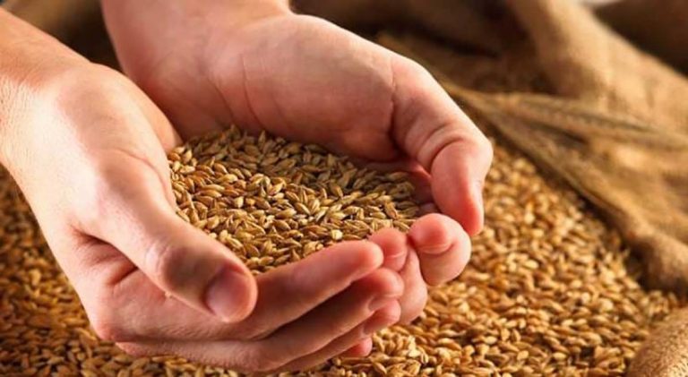 ಬಡವರಿಗೆ ಧಾನ್ಯಗಳನ್ನು ಉಚಿತವಾಗಿ ನೀಡುವ ಯೋಜನೆ dhanya