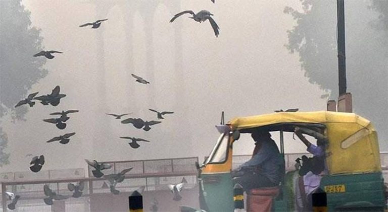 ದೆಹಲಿಯಲ್ಲಿ ದಟ್ಟ ಹೊಗೆ; ಹಲವೆಡೆ ವಾಹನ ಸಂಚಾರ ನಿರ್ಬಂಧಿಸಲಾಗಿದೆ hoge