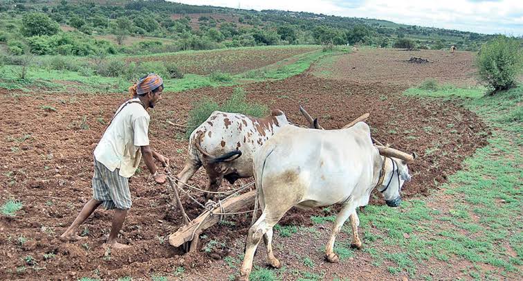 ರೈತ ಸಮುದಾಯಕ್ಕೆ ಶಾಕ್ : ಪಹಣಿ ಬೆಲೆಯಲ್ಲಿ ಹೆಚ್ಚಳ ritha