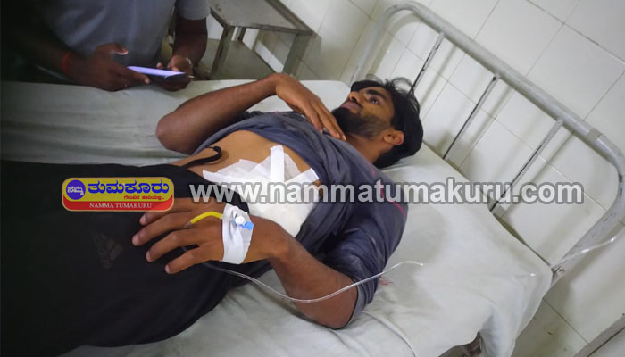 ಚಿಕ್ಕಮಗಳೂರು: ಯುವಕನ ಮೇಲೆ ದಾಳಿ ನಡೆಸಿದ ಕಾಡುಕೋಣ chikkamagaluru