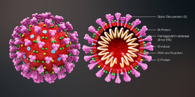 ಚೀನಾದಲ್ಲಿ ಶೇ. 80 ರಷ್ಟು ಜನರಿಗೆ ಕೊರೊನಾ corona