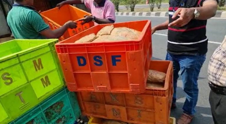 ಮೀನು ತುಂಬಿದ್ದ ಗಾಡಿಯಲ್ಲಿ ಗಾಂಜಾ ಸಾಗಟ: ಇಬ್ಬರು ಆರೋಪಿಗಳ ಬಂಧನ kerala