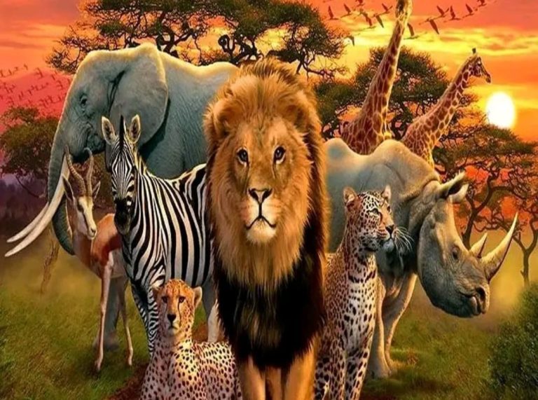 ಬೆಂಗಳೂರಿನಲ್ಲಿ ವನ್ಯಜೀವಿ ವಿಧಿ ವಿಜ್ಞಾನ ಲ್ಯಾಬ್ lyab