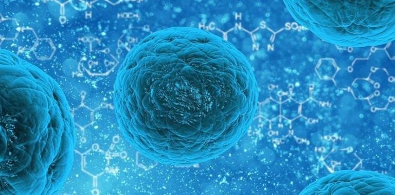 ಎರ್ನಾಕುಲಂನಲ್ಲಿ ನೊರೊ ವೈರಸ್ ಕಾಕನಾಟೆ ಶಾಲೆಯ 19 ವಿದ್ಯಾರ್ಥಿಗಳಿಗೆ ಸೋಂಕು nuro viras