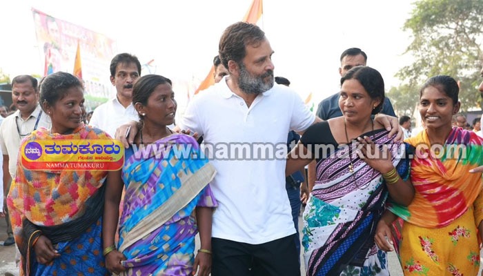 3,000 ಕಿ.ಮೀ ದೂರ ಕ್ರಮಿಸಿದ ಭಾರತ ಐಕ್ಯತಾ ಯಾತ್ರೆ: ರಾಹುಲ್ ಗಾಂಧಿಯ ಬದ್ಧತೆಗೆ ಸಿದ್ದರಾಮಯ್ಯ ಮೆಚ್ಚುಗೆ rahul gandhi