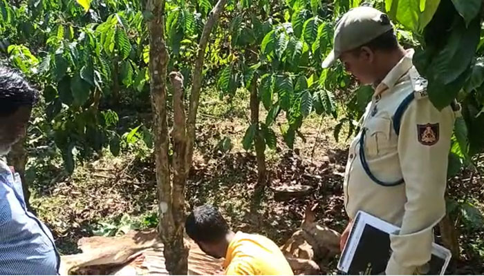 ಹುಲಿಯ ದಾಳಿಗೆ ಹಸು ಸಾವು: ಹುಲಿಯನ್ನು ಸ್ಥಳಾಂತರಿಸಲು ಗ್ರಾಮಸ್ಥರ ಒತ್ತಾಯ mudigere