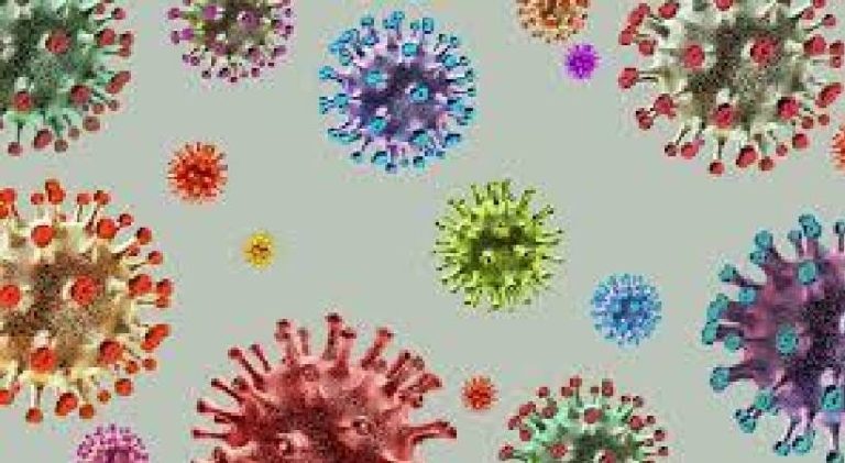 ಭಾರತದಲ್ಲಿ ಅತಿ ಹೆಚ್ಚು ಕೋವಿಡ್ 19 ಮೈಕ್ರಾನ್ ಹರಡಿದೆ: ವಿಶ್ವ ಆರೋಗ್ಯ ಸಂಸ್ಥೆ ಎಚ್ಚರಿಕೆ covid