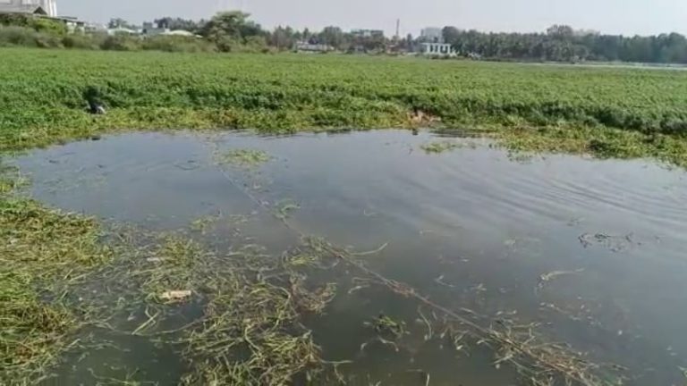 ಆಯತಪ್ಪಿ ಕೆರೆಗೆ ಬಿದ್ದು 4 ವರ್ಷದ ಬಾಲಕ ಸಾವು kere