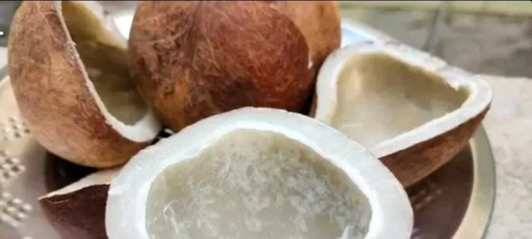 ಖಾಲಿ ಹೊಟ್ಟೆಗೆ ಒಣ ಕೊಬ್ಬರಿ ತಿಂದರೆ ಏನಾಗುತ್ತದೆ? dry coconut