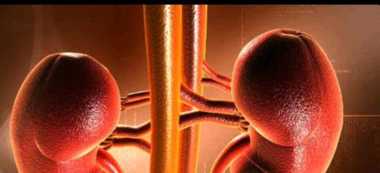 30 ವರ್ಷದ ವ್ಯಕ್ತಿಗೆ 13 ತಿಂಗಳ ಮಗುವಿನ ಕಿಡ್ನಿ ಕಸಿ! kidney transplant