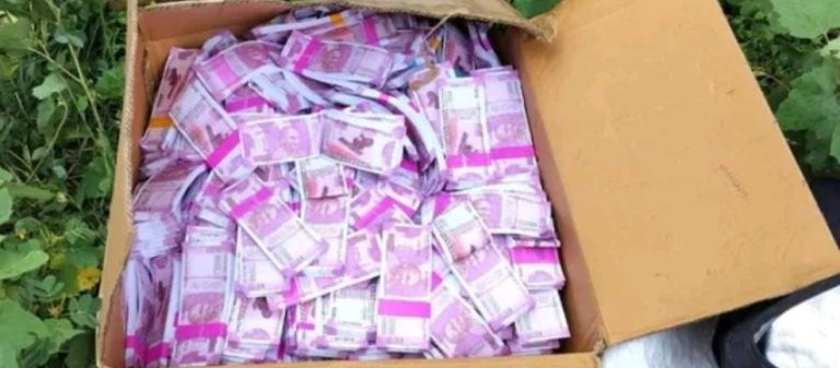 ರಸ್ತೆ ಬದಿಯಲ್ಲಿ ಸಿಕ್ಕು ಎರಡು ಸಾವಿರ ನೋಟಿನ ಮೂರು ಬಾಕ್ಸ್ money