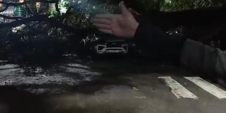 ಹೈಗೌಂಡ್ಸ್ ಠಾಣೆ ಬಳಿ ಧರೆಗುರುಳಿದ ಮರ; 3 ಕಾರುಗಳು ಸಂಪೂರ್ಣ ಜಖಂ rain