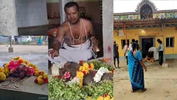 ವೀರಾಂಜನೇಯ ಸ್ವಾಮಿಗೆ ನಮಿಸಿ ಪ್ರಾಣಬಿಟ್ಟ ಕೋತಿ veeranjaneya swami