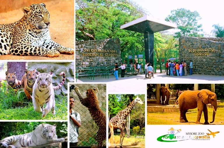 ಮೈಸೂರು ಮೃಗಾಲಯದ ವಾರದ ರಜೆ ರದ್ದು mysore zoo