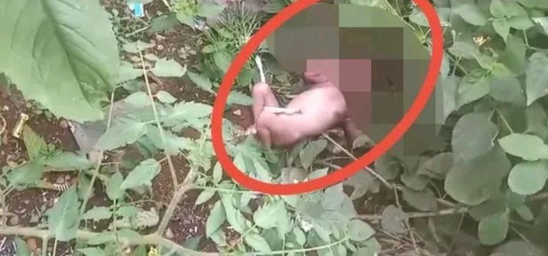 ನವಜಾತ ಮಗುವನ್ನು ರಸ್ತೆಗೆ ಎಸೆದ ಪಾಪಿ ತಾಯಿ..!! belagavi