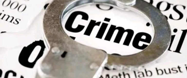 ವಂಚನೆ ಆರೋಪ: ‘ನಿಷ್ಕಾ ವಿವಿಧೋದ್ದೇಶ ಸೌಹಾರ್ದ ಕೋ-ಆಪರೇಟಿವ್ ನಿಯಮಿತ’ ವಿರುದ್ಧ ಪ್ರಕರಣ ದಾಖಲು crime