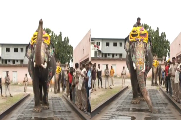 ಮೈಸೂರು ದಸರಾ ಗಜಪಡೆಗೆ ತೂಕ ಪರೀಕ್ಷೆ dasara