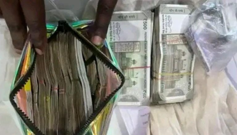 ವಿದೇಶಿ ಮಹಿಳೆ ಬ್ಯಾಗ್ ನಲ್ಲಿತ್ತು ಕಂತೆ ಕಂತೆ ಭಾರತೀಯ ಕರೆನ್ಸಿ! money