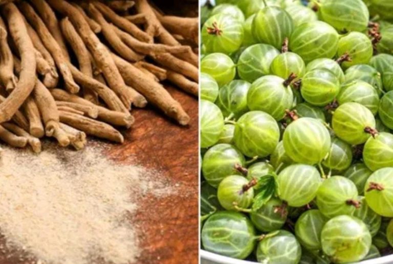 ಬೇಗನೆ ತೂಕ ಇಳಿಕೆಗೆ ಅಶ್ವಗಂಧ, ಆಮ್ಲಾ, ಶತಾವರಿ, ಜಾಯಿಕಾಯಿಗಳನ್ನು ಸೇವಿಸಿ amla