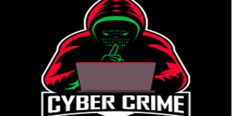 cyber crime
