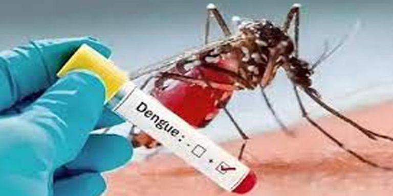 ಬೆಂಗಳೂರಲ್ಲಿ ದಿನದಿಂದ ದಿನಕ್ಕೆ ಏರುತ್ತಿರುವ ಡೆಂಗ್ಯೂ ಪ್ರಕರಣ dengue 2