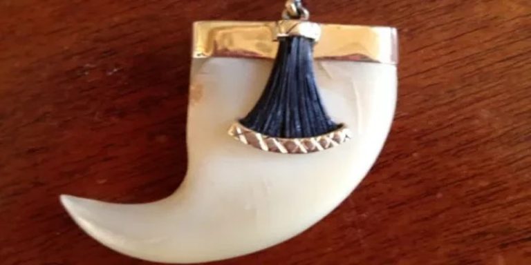 ಆನೆ ಬಾಲದ ಕೂದಲಿನ ಸಂಗ್ರಹಕ್ಕಾಗಿಯೂ ಶೋಧ ನಡೆಸಲು ಅರಣ್ಯಾಧಿಕಾರಿಗಳಿಂದ ಪ್ಲಾನ್ elephant tail