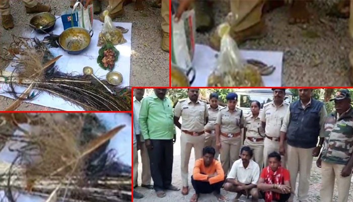 ನವಿಲು ಬೇಟೆಗಾರರ ಹೆಡೆಮುರಿ ಕಟ್ಟಿದ ಅರಣ್ಯ ಇಲಾಖೆ ಅಧಿಕಾರಿಗಳು thumakuru