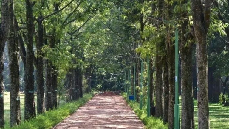 ಕಬ್ಬನ್ ಉದ್ಯಾನ ಸಂರಕ್ಷಣಾ ಸಮಿತಿ ರಚನೆ kabban park