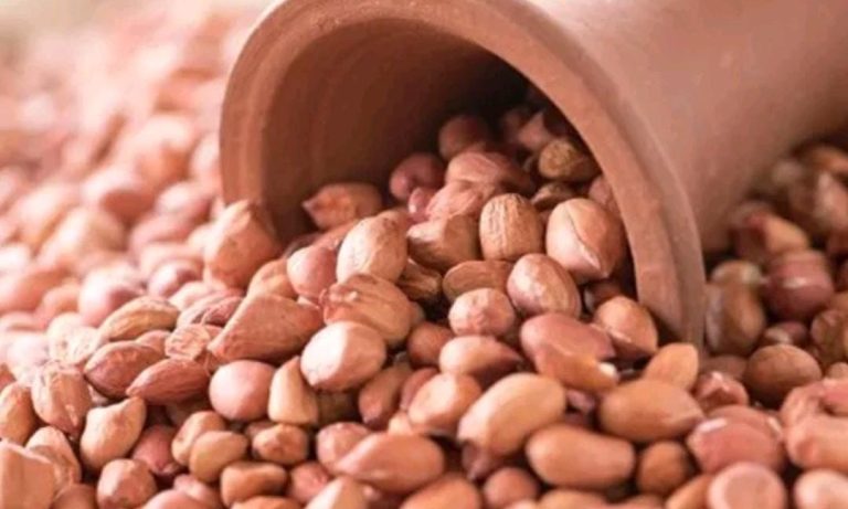 ಕಡಲೆಬೀಜ (ಶೇಂಗಾ) ಹೇರಳವಾಗಿ ತಿನ್ನುವುದರಿಂದ ಆರೋಗ್ಯಕ್ಕೆ ಹಾನಿ peanuts