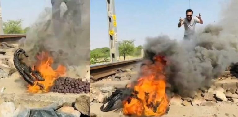 ರೈಲ್ವೇ ಹಳಿಯಲ್ಲಿ ಪಟಾಕಿ ಸಿಡಿಸಿದ ಯೂಟ್ಯೂಬರ್: ಹಾವಿನ ಆಕಾರದಲ್ಲಿ ಕಾಣಿಸಿಕೊಂಡ ಬೂದಿ rajasthana