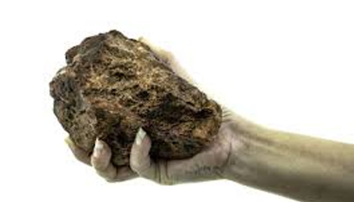 ಔಟಿಂಗ್ ಬರಲಿಲ್ಲವೆಂದು ಕುಪಿತನಾದ ಪಾಗಲ್ ಪ್ರೇಮಿ: ಗೆಳತಿಯ ಪಿಜಿಗೆ ಕಲ್ಲು ಎಸೆತ stone