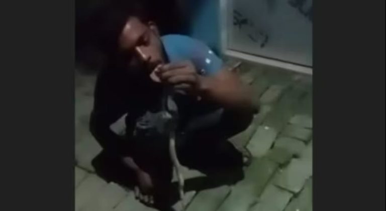 ಕುಡಿದ ಅಮಲಿನಲ್ಲಿ ಯುವಕನೊಬ್ಬ ಹಾವಿನೊಂದಿಗೆ ಹುಡುಗಾಟ: ಹಾವು ನಾಲಿಗೆಗೆ ಕಚ್ಚಿ ಸಾವು utthar pradesh