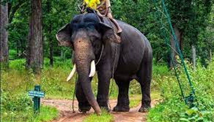 ಅರ್ಜುನ ಆನೆ ಅಂತ್ಯಕ್ರಿಯೆಗೆ ವಿರೋಧಿಸಿ ಸ್ಥಳೀಯರಿಂದ ಪ್ರತಿಭಟನೆ arjun