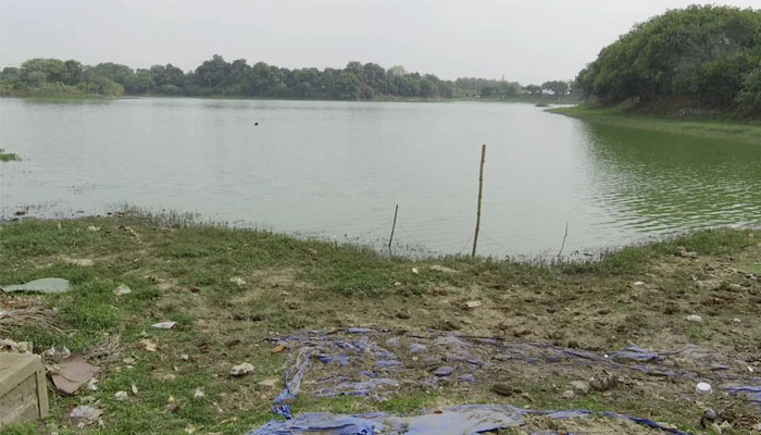 ಕಲುಷಿತಗೊಂಡ ಕೆರೆಯಿಂದಾಗಿ ಜೀವ ಸಂಕಷ್ಟದಲ್ಲಿರುವ ಜಲಚರಗಳು lake