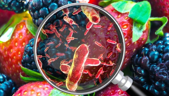 ಗಣರಾಜ್ಯೋತ್ಸವದಂದು ವಿತರಿಸಲಾದ ಆಹಾರ ಸೇವಿಸಿ ವಿದ್ಯಾರ್ಥಿಗಳು ಅಸ್ವಸ್ಥ: ಇಬ್ಬರ ಸ್ಥಿತಿ ಚಿಂತಾಜನಕ food