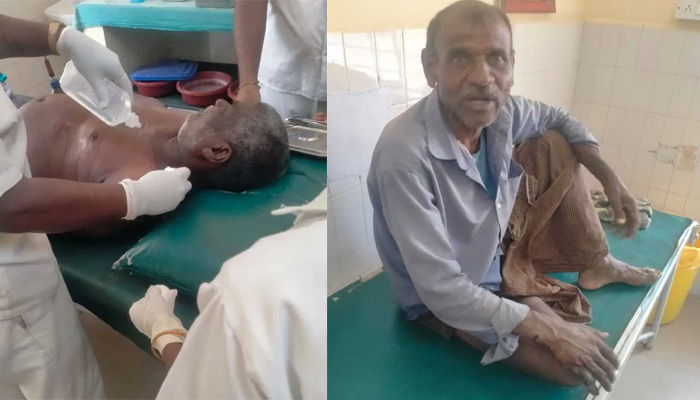 ಹುಲಿ ದಾಳಿ: ಕುರಿಗಾಹಿಗಳಿಗೆ ಗಾಯ chamarajanagara