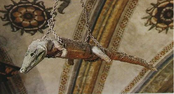 ಚರ್ಚ್ ನಲ್ಲಿ 500 ವರ್ಷಗಳಿಂದ ನೇತಾಡುತ್ತಿದೆ ಮೊಸಳೆಯ ಮೃತದೇಹ: ಆ ಮೊಸಳೆಯ ಮೃತದೇಹವನ್ನು ಅಲ್ಲಿ ಇಡಲು ಕಾರಣವೇನು ಗೊತ್ತೇ..? crocodile